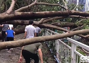 安防與臺風應急救援不得不說的兩三事……