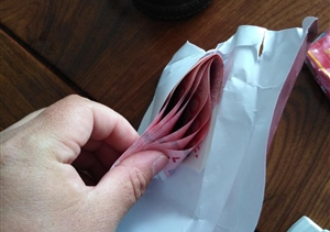 面對誘惑不動搖  立場堅(jiān)定顯品質(zhì) ——宗保金山衛(wèi)五違巡查與金橋市