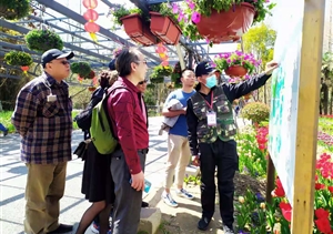 宗保黨員志愿服務(wù)隊(duì)全力備戰(zhàn)花博會