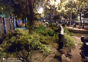 扎實工作樹新風(fēng)系列2021.5.14